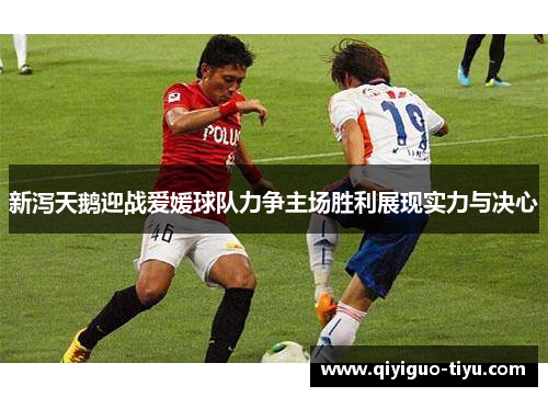 新泻天鹅迎战爱媛球队力争主场胜利展现实力与决心
